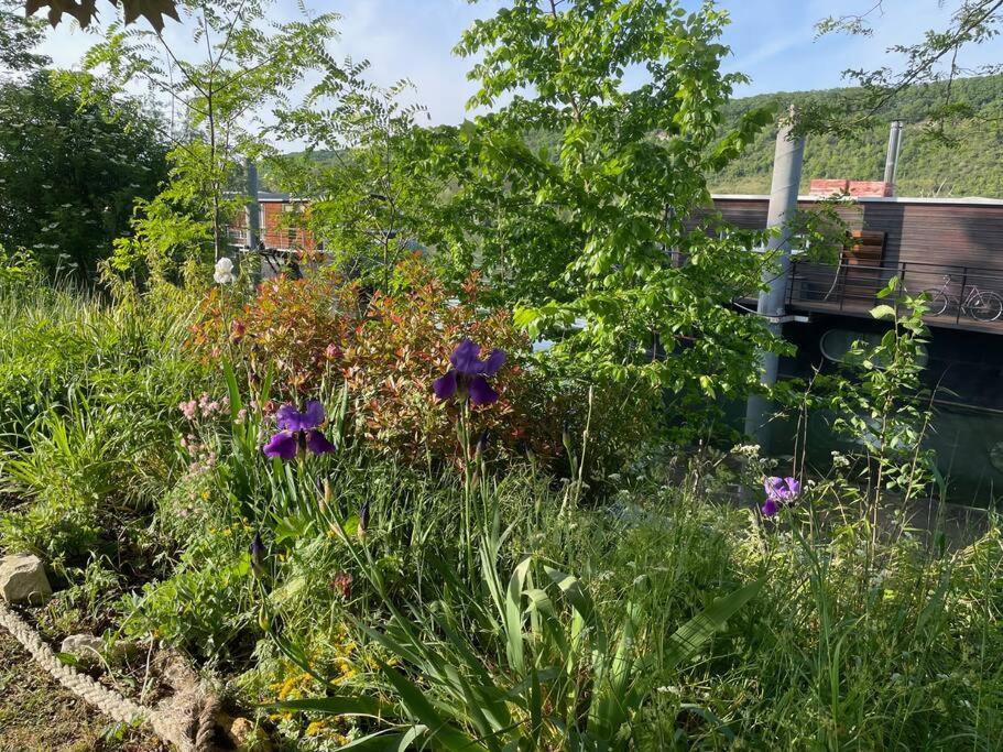 Maison Fleurs De Lys, Climatisee, Wifi Et Parking Privee Gratuit, Lave-Linge, Vernon Giverny Exteriör bild
